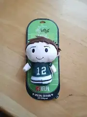 Hallmark Itty Bittys Aaron Rodgers 2016 Special Edition Quarterback NFLPA