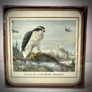 N.A BIRDS OF PREY CORKSCREW COASTERS