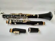 Clarinet With Case G Key Ebonite Nickel Plating Good Material and Sound 20 keys