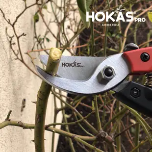 【HOKAS】S841鋁柄專業修枝剪 (園藝剪刀 花剪 剪定鋏 樹枝剪刀 修枝剪刀 樹剪 果樹剪 嫁接剪 採果剪)