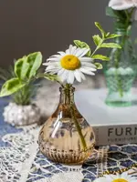 掬涵 棕色小花瓶花器文藝復古小玻璃瓶擺件鮮花干花插花水培瓶