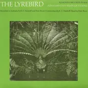 The Lyrebird: A Documentary Study of Its Song - P. Bruce CD