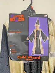 Child Wizard Child Standard Size Robe Hat Costume Pumpkin Time Costume NEW