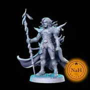 Calder Moonshadow | Cecil | Druid or Wizard miniature for Tabletop games like D&