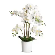 25.6" Artificial Flowers White Orchid in Melamine Basin for Home Decor
