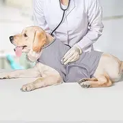 YUKOOL Anxiety Coat for Dogs, Lightweight Wrap Calming Vest, Dog Anxiety Jacket, Used to Instant Therapy for Over Excitement in Lightning and Fireworks to Keep Calming Comfort(L,Grey)