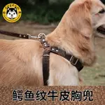 狗用品牛皮牽引繩大型犬遛狗繩狗鏈背心胸揹帶伸縮加粗項圈訓狗繩