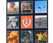 Patchwork Quilting Sewing Fabric Bush Fire Heroes 9 Pics Panel 51x55cm