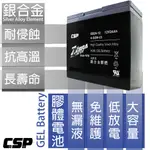 CSP進煌 斑馬電池 12V 24AH 電動機車 電動車電池 銀合金膠體電池 強效版 EB24-12等同6-DZM-20