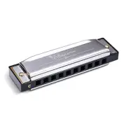 Harmonica 10 Holes 20 Tunes Mouth Organ Blues Deluxe Harmonica Key of C for B...