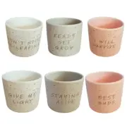 Succulent Planter Pots, Quirky Quotes, 12x14cm plant pots indoor