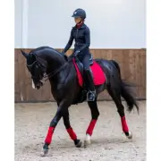 IT01283 LeMieux Suede Square Dressage Pad - Chilli NEW