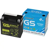 在飛比找蝦皮購物優惠-乾電池摩托車 GS GTZ6V 12V - 5Ah