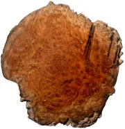 Australian Bimble Box Burl Charcuterie /Bread Board - 9" x 9" x 1 1/4" [E-466]