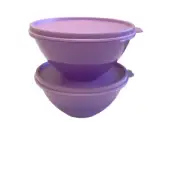 Tupperware wonderlier Bowls Small 2 Cup Purple Set of 2