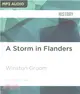 A Storm in Flanders ― The Ypres Salient, 1914-1918: Tragedy and Triumph on the Western Front