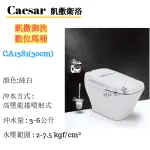 🔸HG水電🔸 CAESAR 凱撒衛浴 御洗數位馬桶 CA1381 免運 私訊優惠