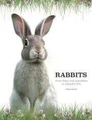 Rabbits: From Hares and Jackrabbits to Adorable Pets by Jackson, Tom [Hardback]