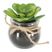 Floret Cactus Plant In Pot 9x9x8cm
