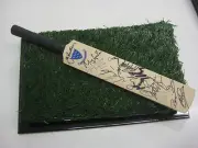 SUSSEX CCC2007 TEAM HAND SIGNED MINI BAT UNFRAMED + PHOTO PROOF & C.O.A