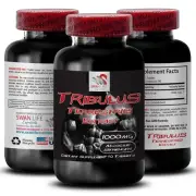 Dynamic Support - TRIBULUS TERRESTRIS EXTRACT - Pure Performance 1 Bottle 90 Tab