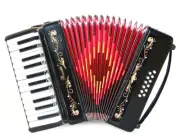 Rossetti 25 Keys 12 Bass Buttons 2512 Piano Accordion - Black + Case, Strap