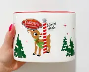 Rudolph The Red Nosed Reindeer Toothbrush Holder