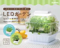 在飛比找樂天市場購物網優惠-日本公司貨 Gakken Sta:Ful LED 室內 種菜