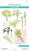 Spellbinders S6-230 Propagated Plants Etched Dies from The Propagation Garden Collection by Annie Williams