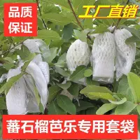 在飛比找Yahoo!奇摩拍賣優惠-芭樂石榴套袋防蟲害套袋保護膜網包青棗成熟蕃石榴包裝袋幼果防鳥