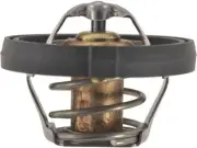For 2000 Chrysler Cirrus Thermostat API 58628VSYW (for: Chrysler)