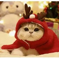 在飛比找樂天市場購物網優惠-圣誕裝扮小斗篷麋鹿圣誕樹小熊寵物貓咪狗狗節日飾品披風可愛披肩