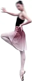 [Tacherlia] Mesh Ballet Skirt Gradient Color Pull-On Elastic Waistband
