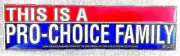 THIS IS A PRO-CHOICE FAMILY Vinyl Decal. 1980 Womens' Right to Choose Decal.