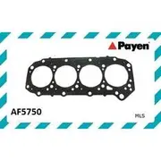 Payen Head Gasket - AF5750