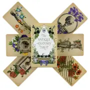 The Antique Anatomy Tarot Cards Full Deck/ Oracle Divination