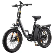 [EU DIRECT] FREE Electric Bike 48V 15.6AH 250W Electric Bike 20*3.0 Inch 120KM Mileage Range Max Load 150KG