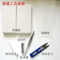 在飛比找樂天市場購物網優惠-新品兒童DIY手工蝴蝶標本制作工具標本相框材料昆蟲針展翅板鑷