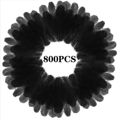 800Pcs Black Rooster Feathers 3-5-Inch Bulk Feathers for Crafting Kindergarten D