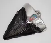 Large Fossil Meg Shark Tooth Pendant – Megalodon Tooth with Sterling Silver Cap