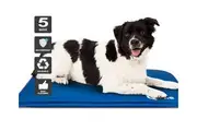 Qttie 40X50cm Cool Gel Mat Dog Cat Bed Non-Toxic Cooling Dog Summer Pad 5 Sizes Pet