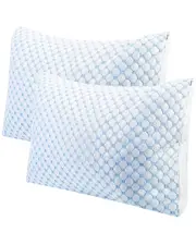 Fresh Fab Finds Set of 2 Cooling Gel Infused Memory Foam Pillows