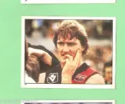 1983 SCANLENS VFL STICKER - #33 RON ANDREWS, ESSENDON BOMBERS