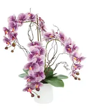 Creative Displays Modern Purple Orchid Arrangement In Round Fiberstone Pot