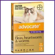 Advocate for Cats over 4kg Fleas Worms Heartworm Treatment Larvae Mites Cat Pet