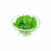15 Green Leaf Acrylic Charms - BD2204
