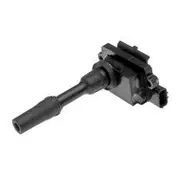 Goss Ignition Coil - C365