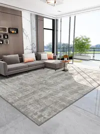 在飛比找Yahoo!奇摩拍賣優惠-Rsemnia客廳地毯沙發墊茶幾毯床邊毯北歐風灰色歐式臥室裝