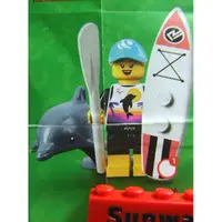 在飛比找蝦皮購物優惠-【積木2010】樂高 LEGO 71029 立槳 SUP /