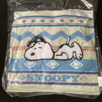 在飛比找蝦皮購物優惠-史努比 一番賞 snoopy 抱枕 全新 日版